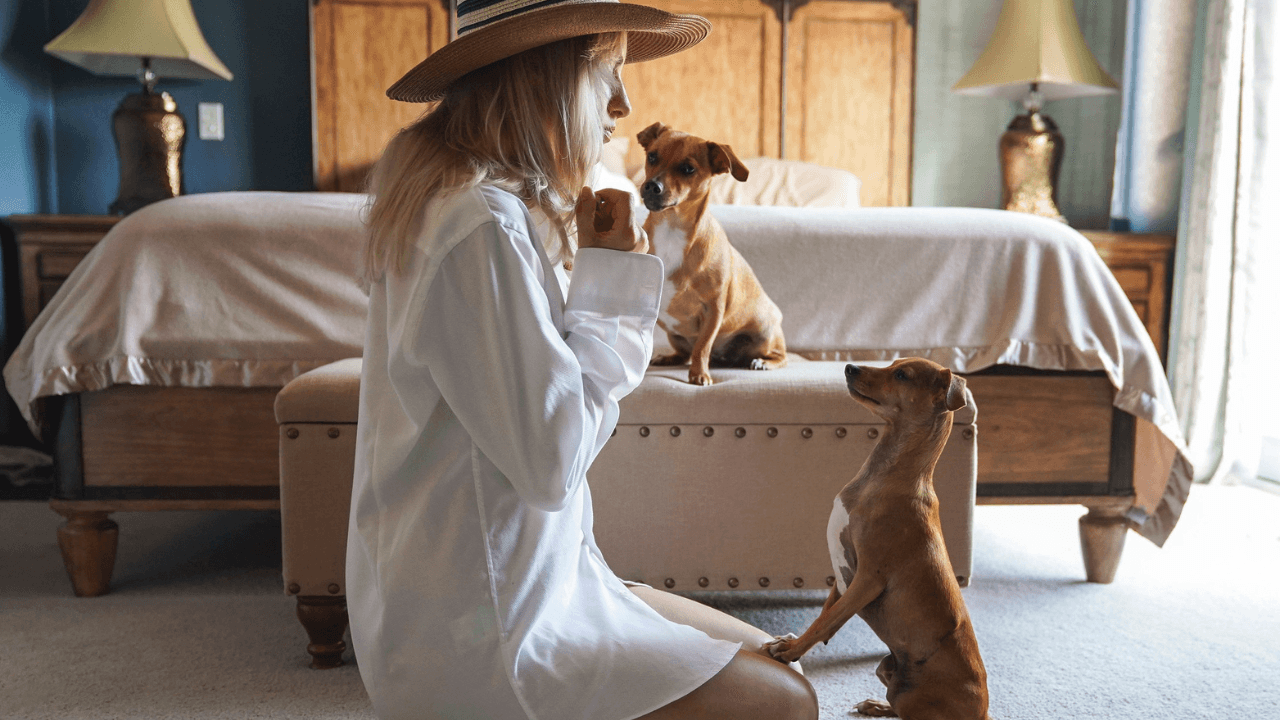 Helping Your Pet Adjust to a New Environment